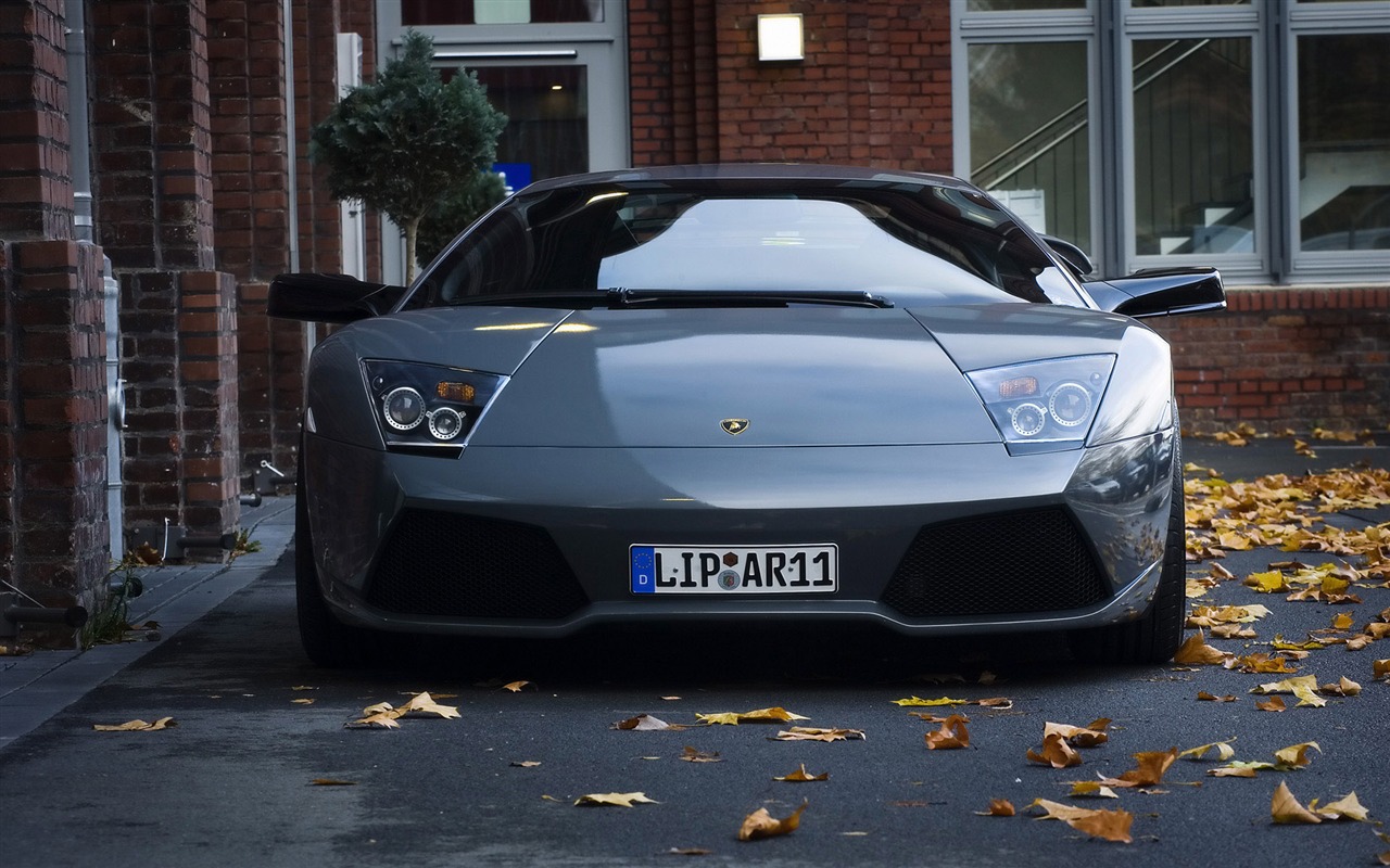 Enfriar coches Lamborghini Wallpaper #1 - 1280x800