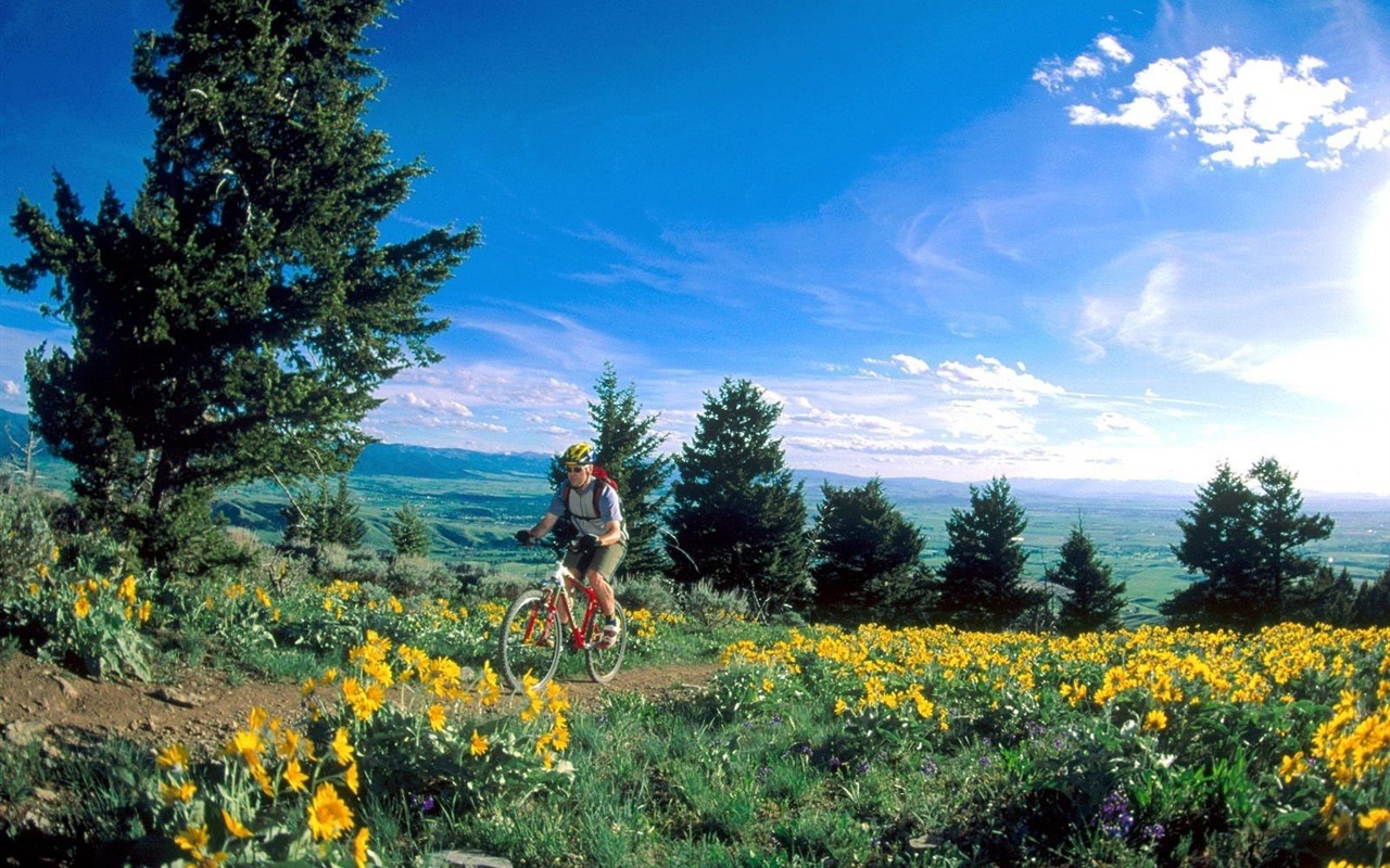 Fond d'écran de vélo de montagne #1 - 1280x800