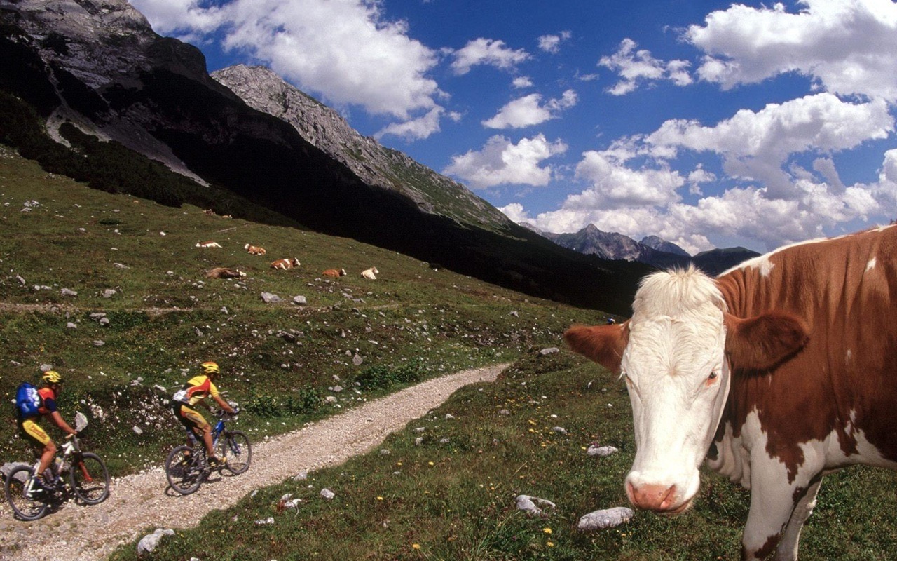 Fond d'écran de vélo de montagne #7 - 1280x800