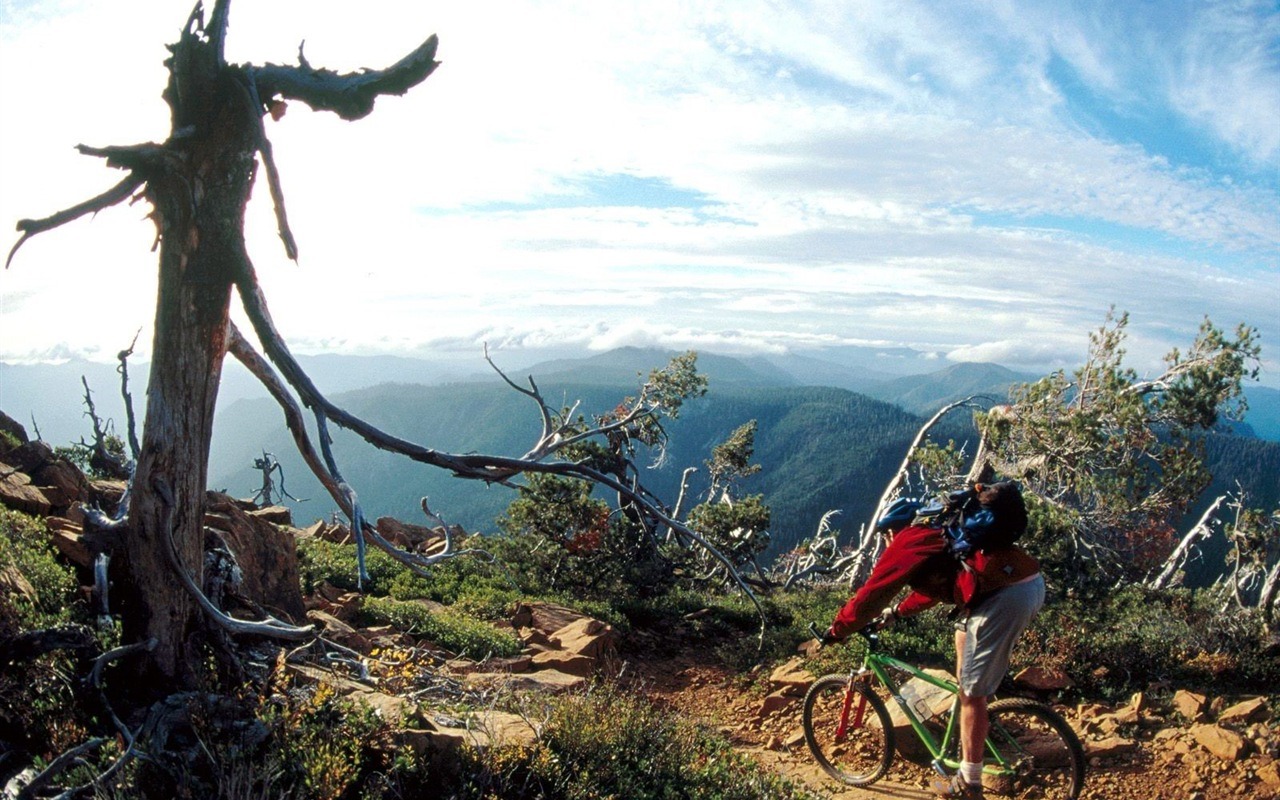 Fondos de bicicletas de montaña #8 - 1280x800