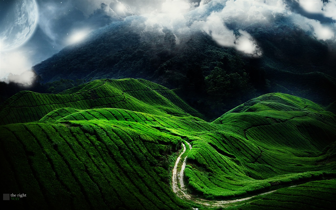 paysages Cool Wallpaper #3 - 1280x800