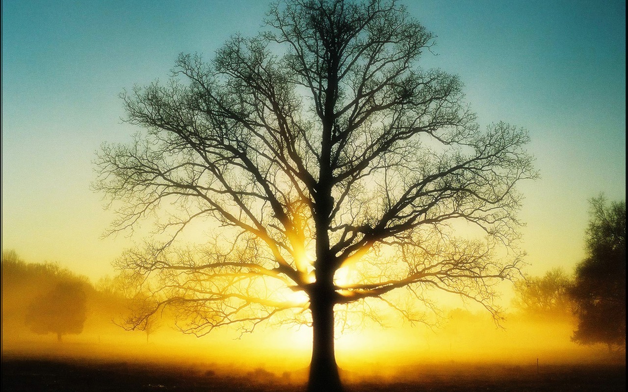 Cool scenery Wallpaper #10 - 1280x800
