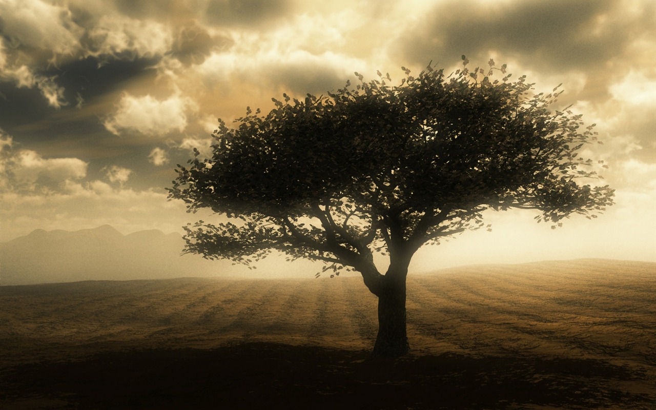 Cool scenery Wallpaper #11 - 1280x800