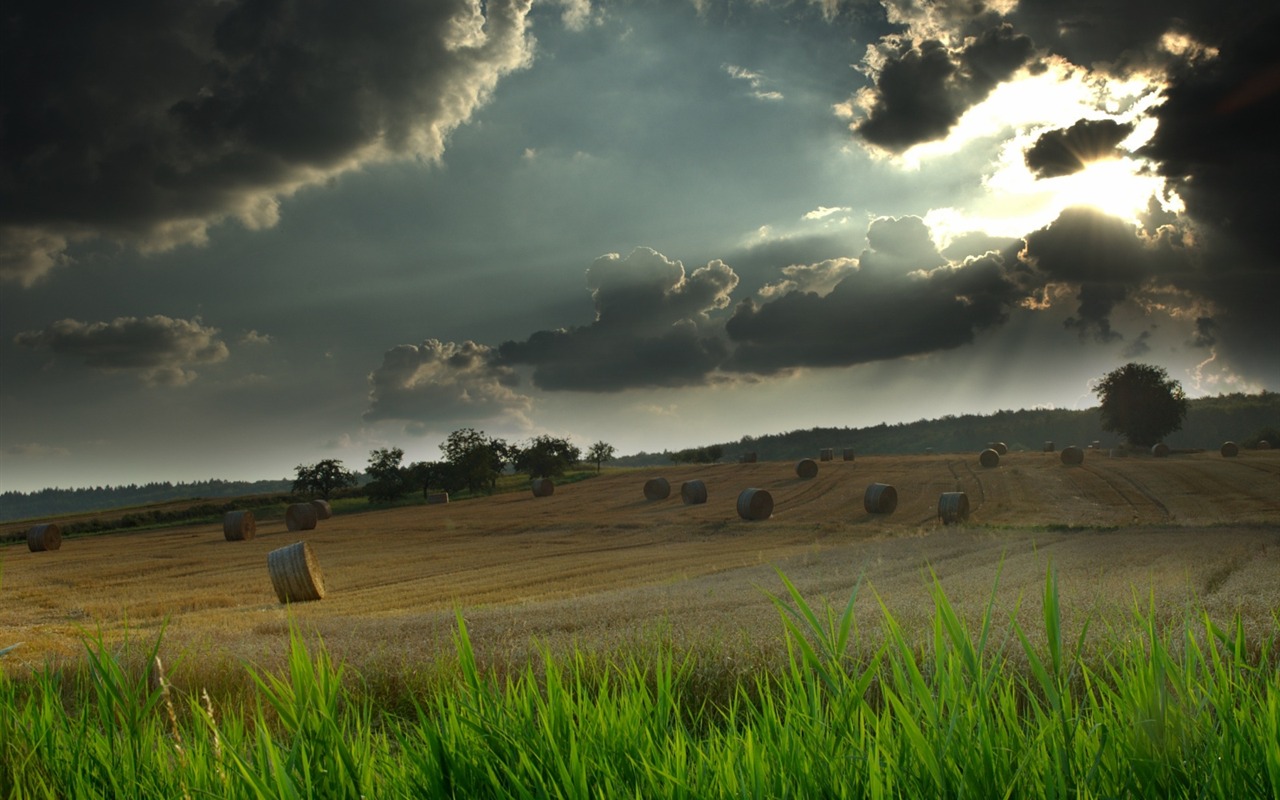 Cool scenery Wallpaper #13 - 1280x800