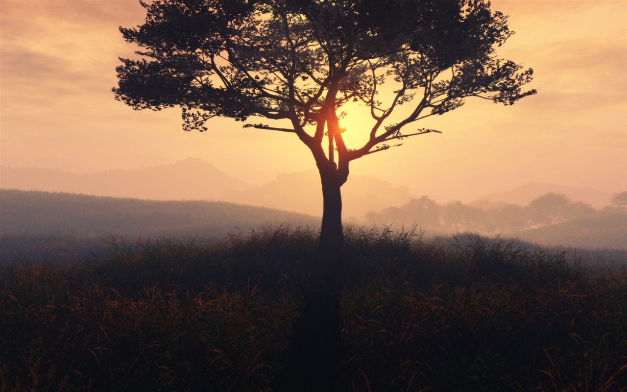 Cool scenery Wallpaper #17 - 1280x800