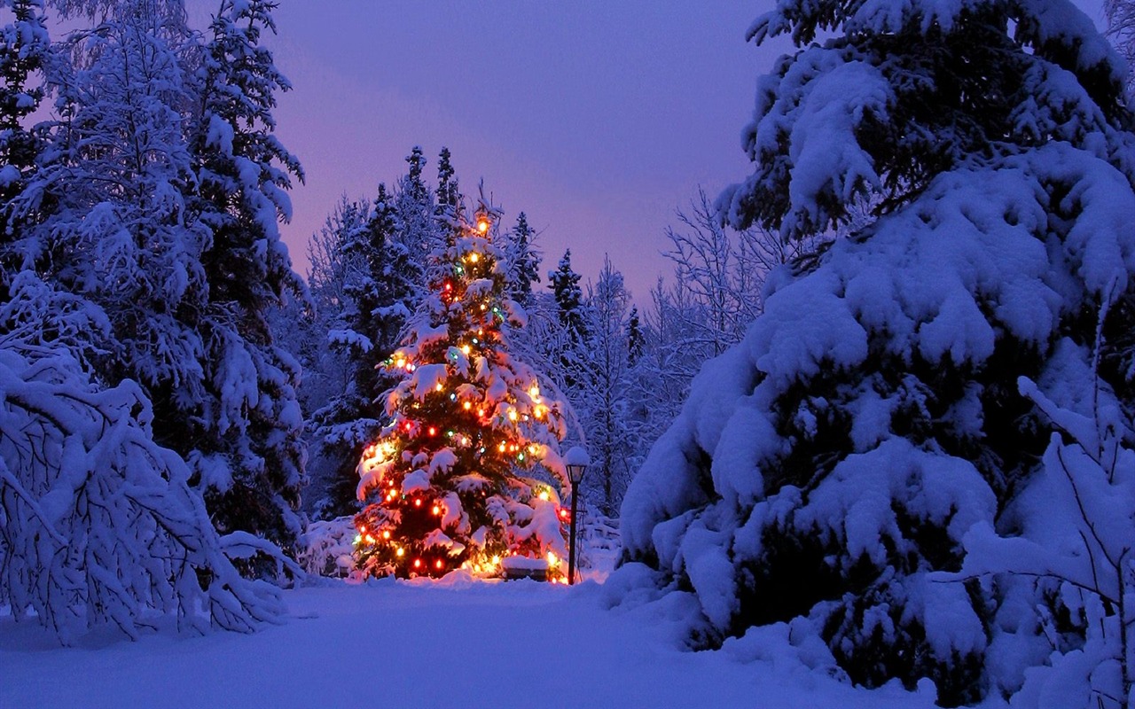 Christmas landscaping series wallpaper (3) #9 - 1280x800