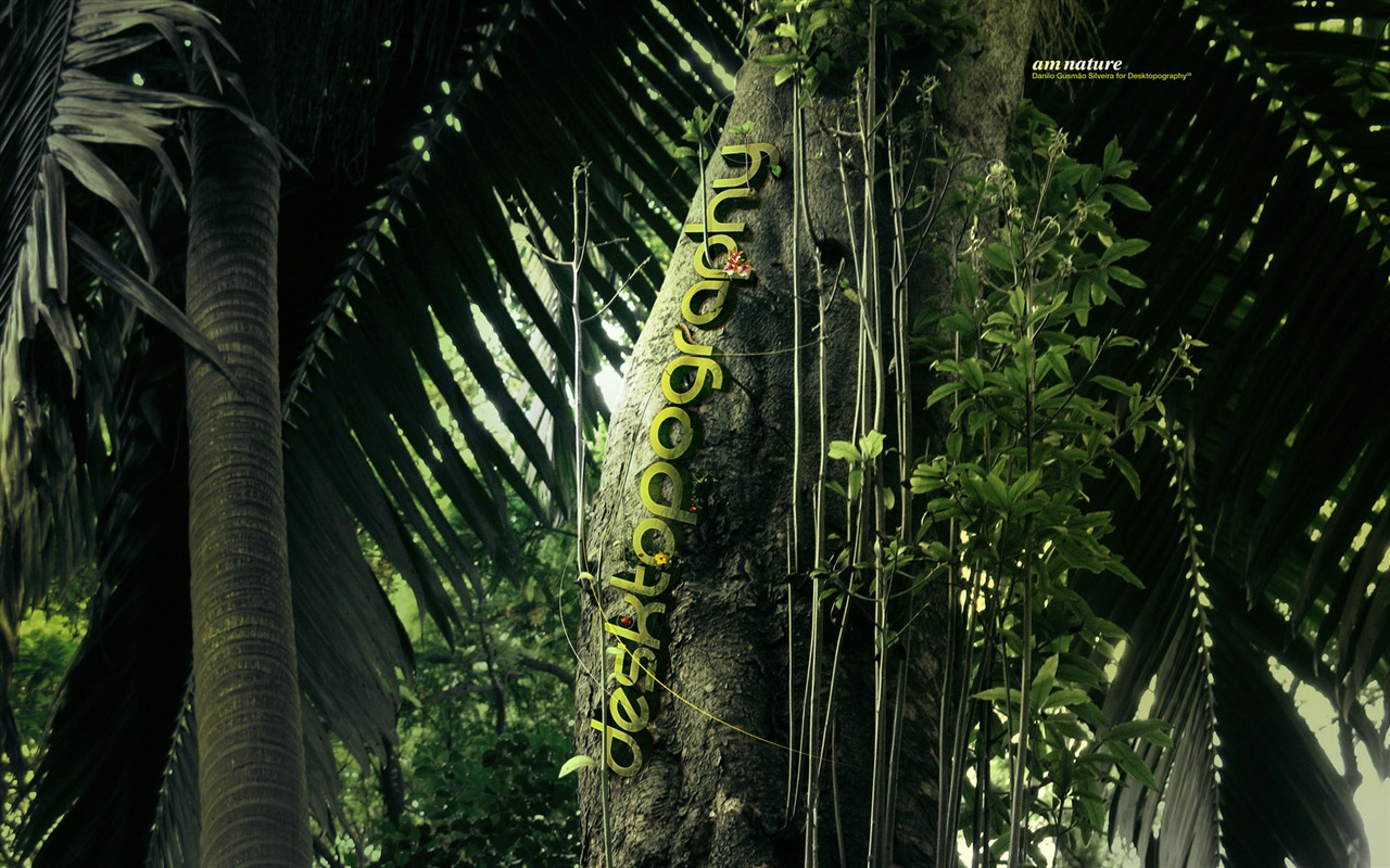 New Creative Design Wallpaper #5 - 1280x800