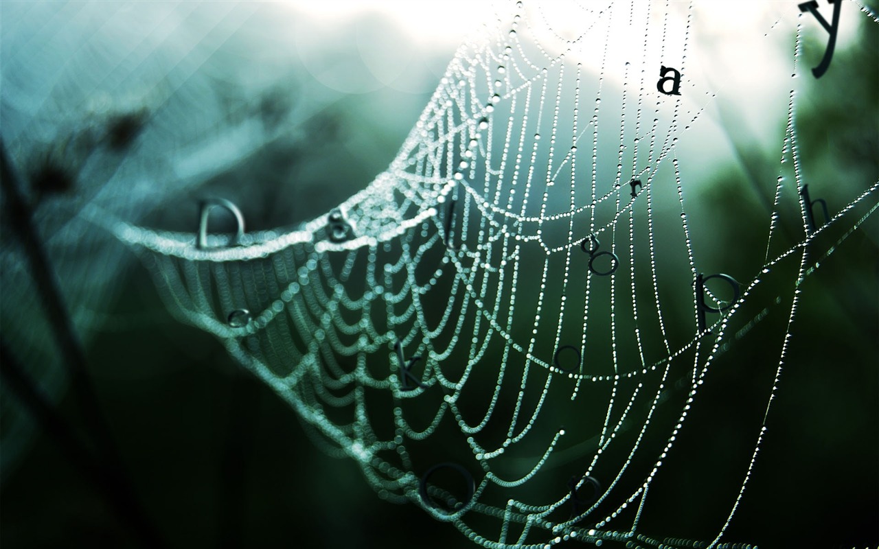 New Creative Design Wallpaper #8 - 1280x800