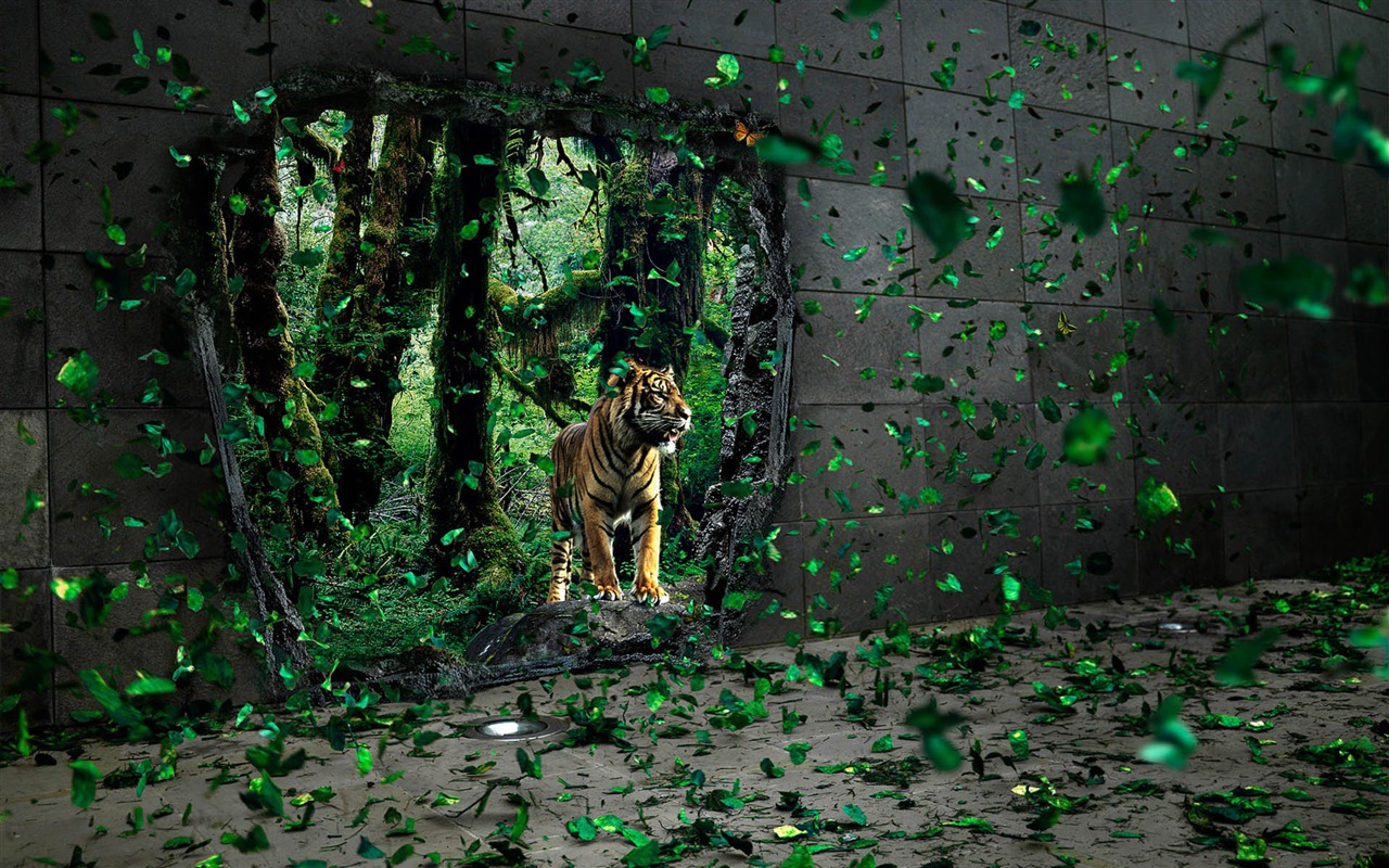 New Creative Design Wallpaper #9 - 1280x800