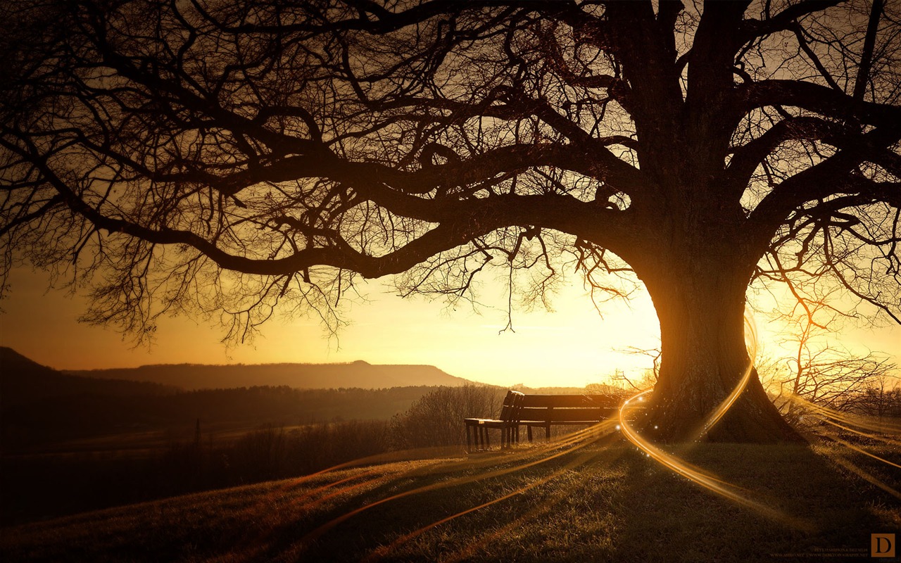 New Creative Design Wallpaper #16 - 1280x800