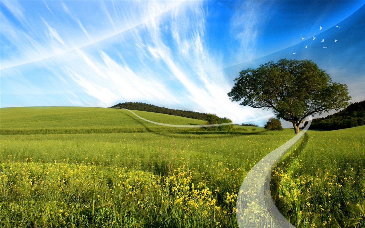 New Creative Design Wallpaper #29 - 1280x800