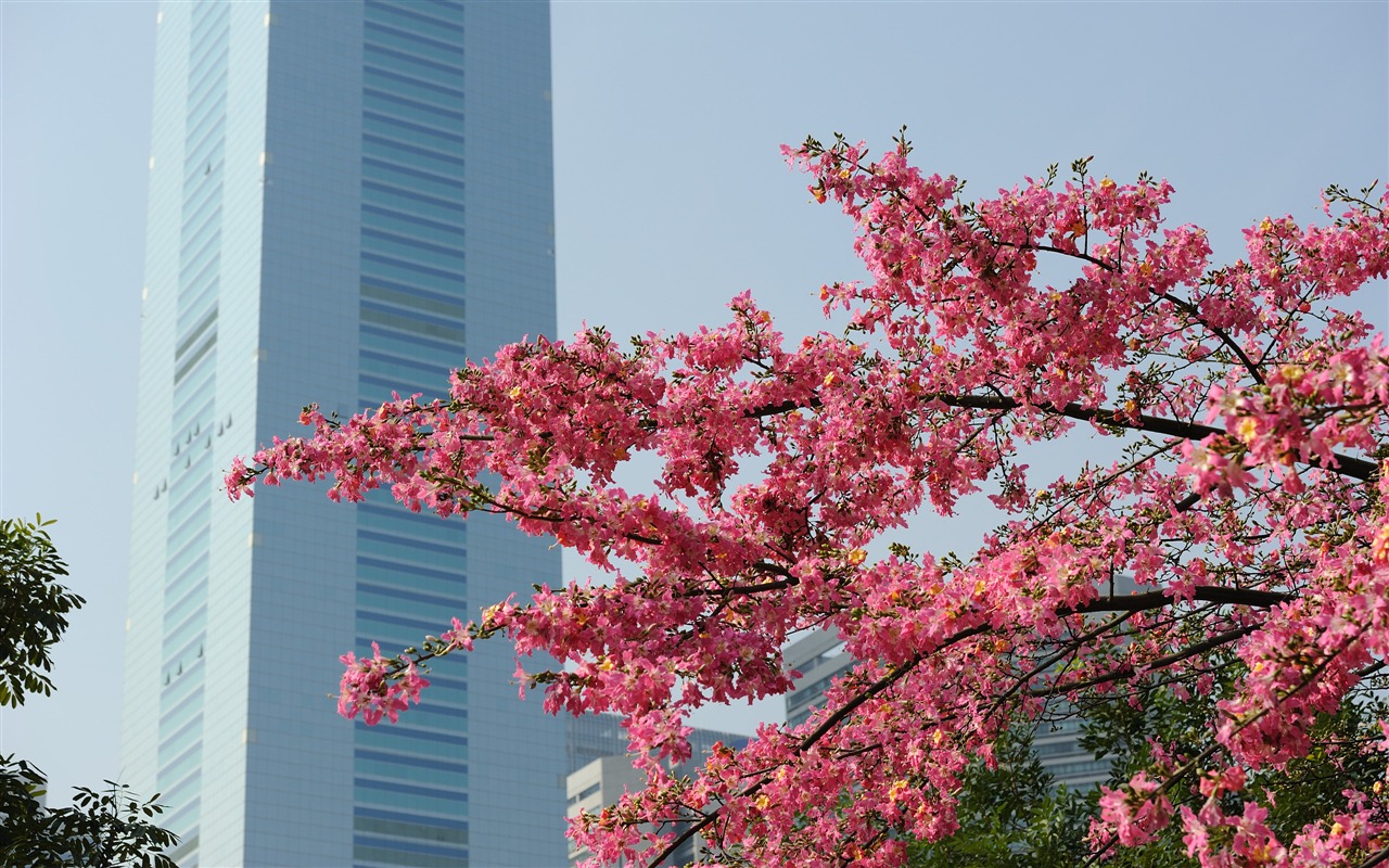 Nikon D700 proofs Wallpaper #11 - 1280x800