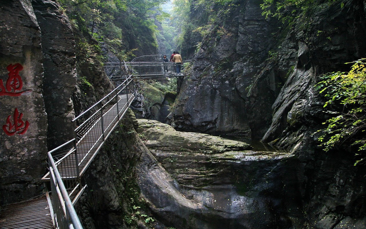 We have the Taihang Mountains (Minghu Metasequoia works) #7 - 1280x800