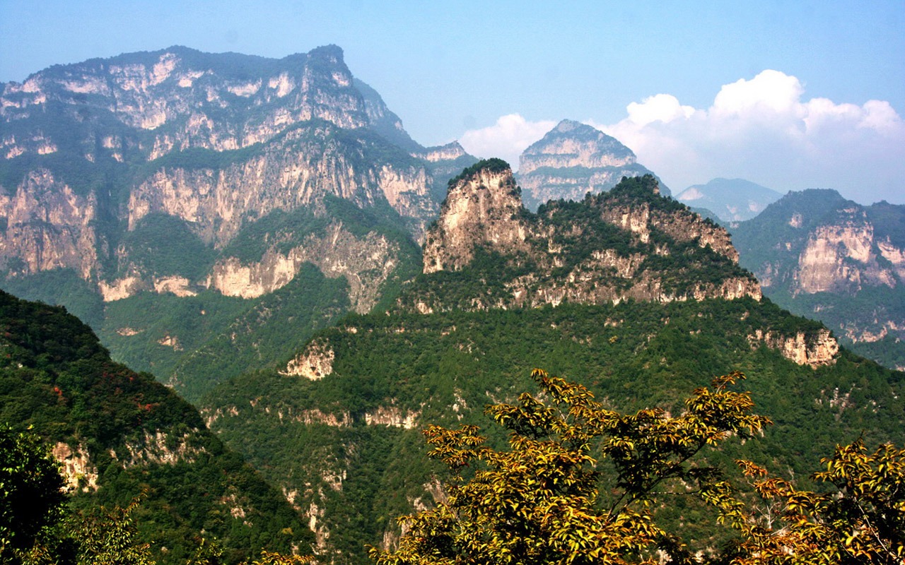 We have the Taihang Mountains (Minghu Metasequoia works) #10 - 1280x800