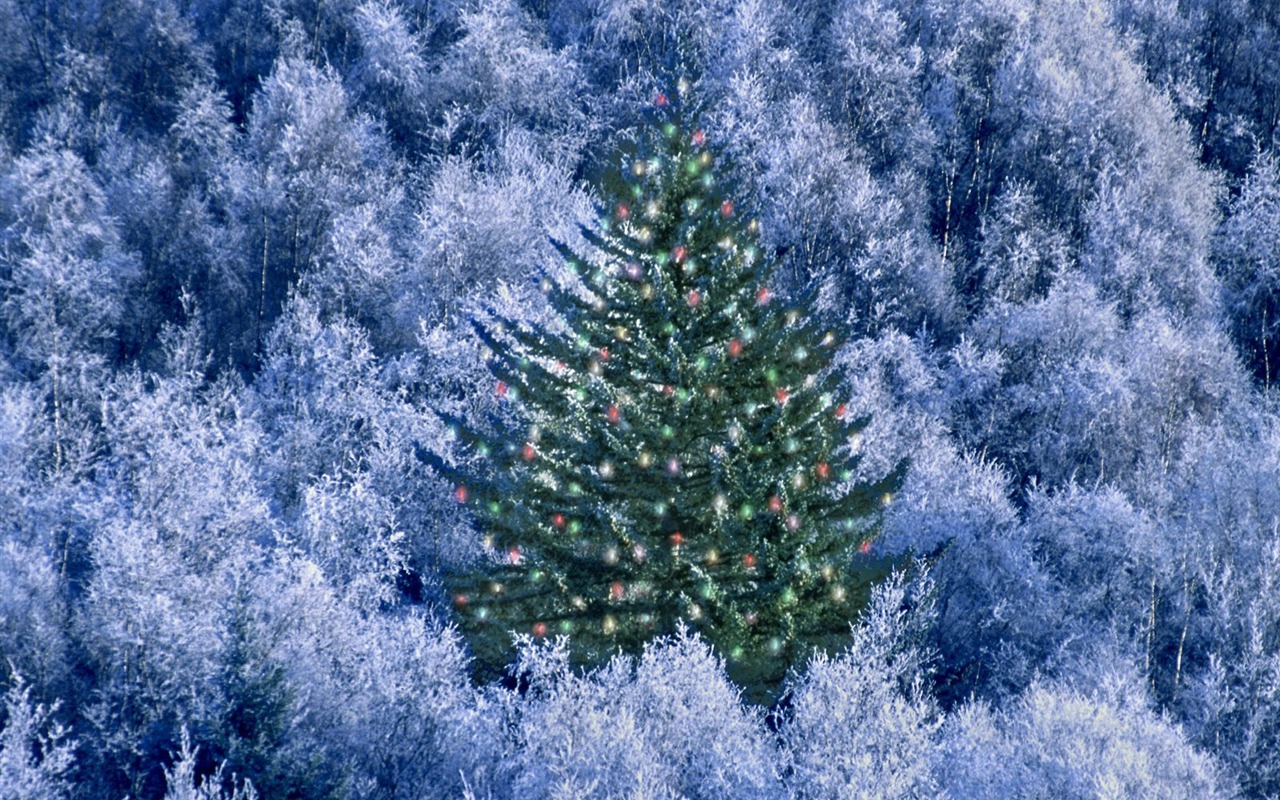크리스마스 조경 벽지 시리즈 (4) #15 - 1280x800