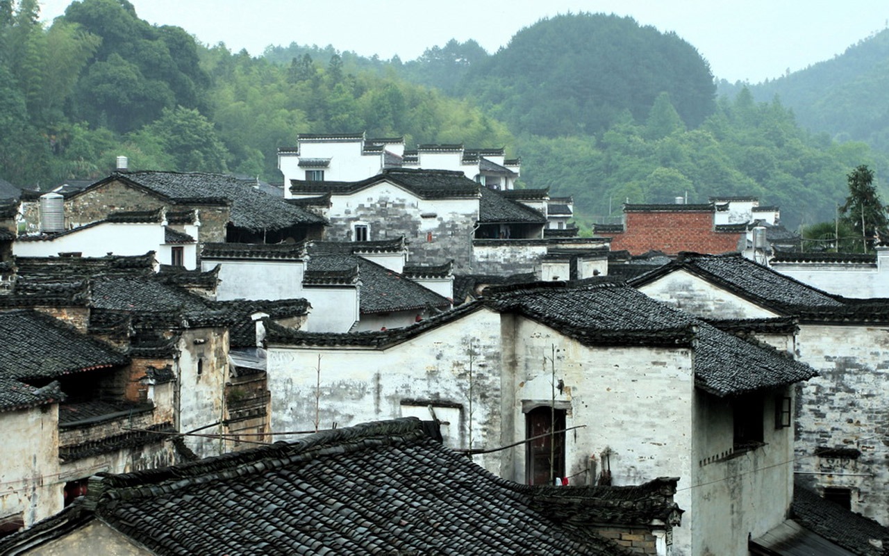 Wuyuan en la línea de la lluvia (Minghu obras Metasequoia) #1 - 1280x800
