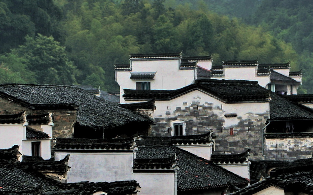 Wuyuan in the rain line (Minghu Metasequoia works) #4 - 1280x800