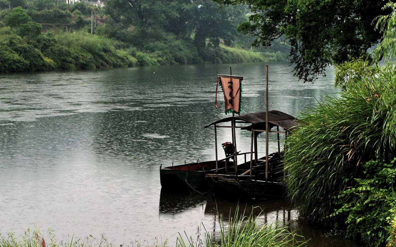 Wuyuan in the rain line (Minghu Metasequoia works) #8 - 1280x800