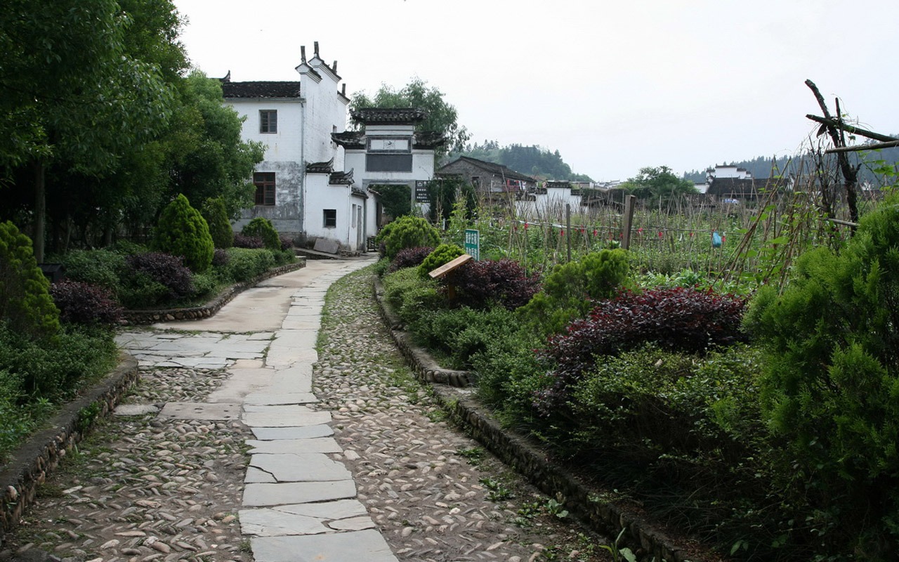 Wuyuan in the rain line (Minghu Metasequoia works) #15 - 1280x800