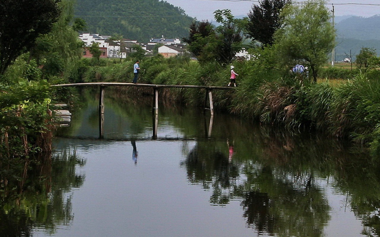 Wuyuan in the rain line (Minghu Metasequoia works) #17 - 1280x800