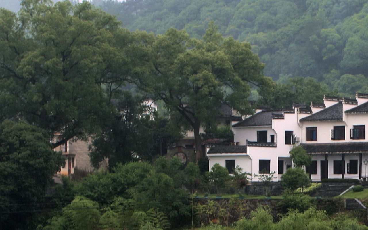 Wuyuan in the rain line (Minghu Metasequoia works) #18 - 1280x800