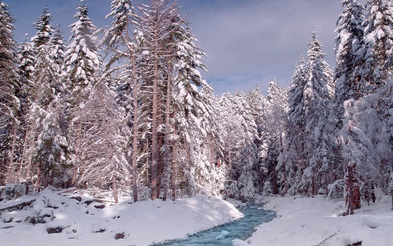 Webshots Krajina Tapety na plochu (1) #4 - 1280x800