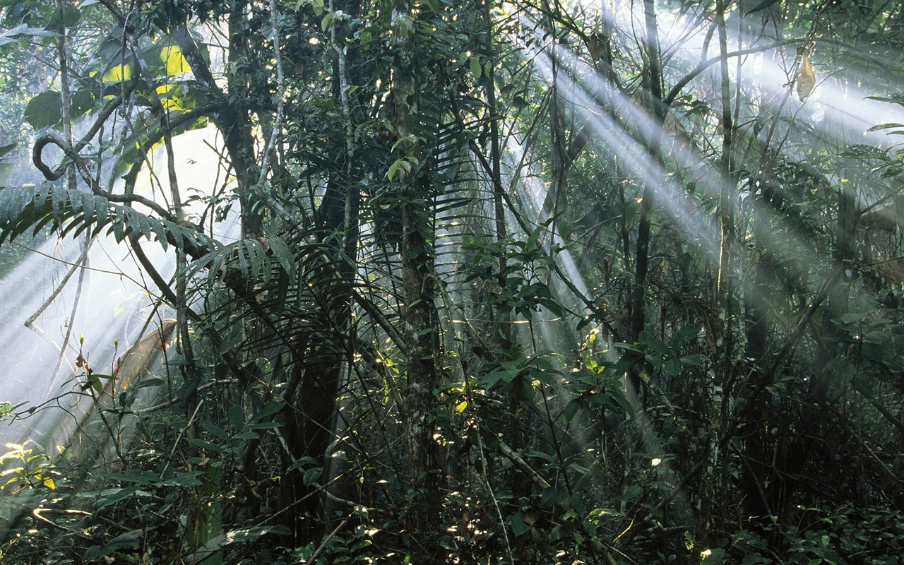 Webshots Scenery Wallpapers (1) #23 - 1280x800