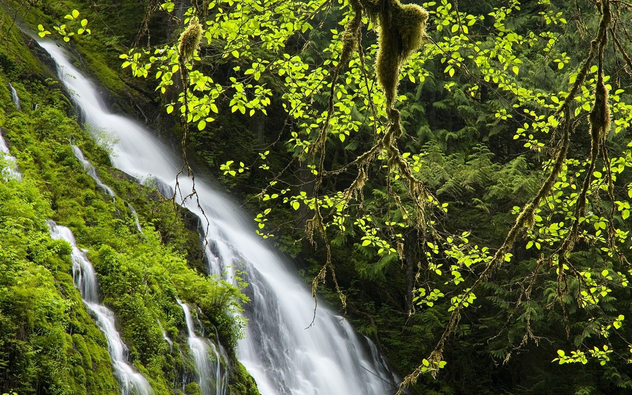 Webshots Scenery Wallpapers (1) #28 - 1280x800