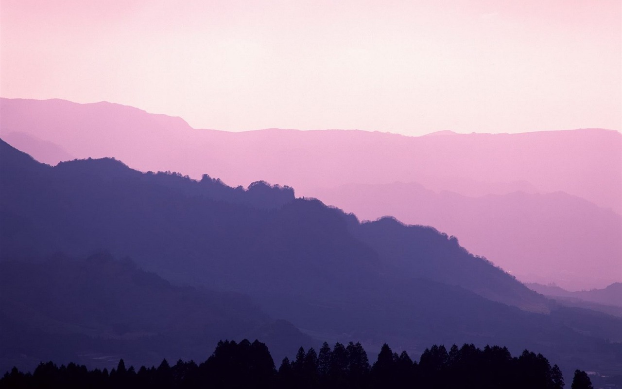 春色 自然風景壁紙 #24 - 1280x800