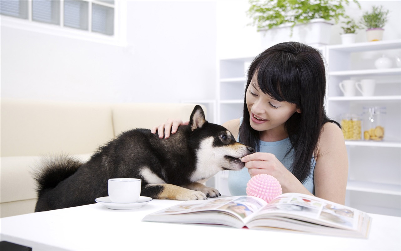 Beauté et des fonds d'écran HD pour animaux de compagnie #1 - 1280x800