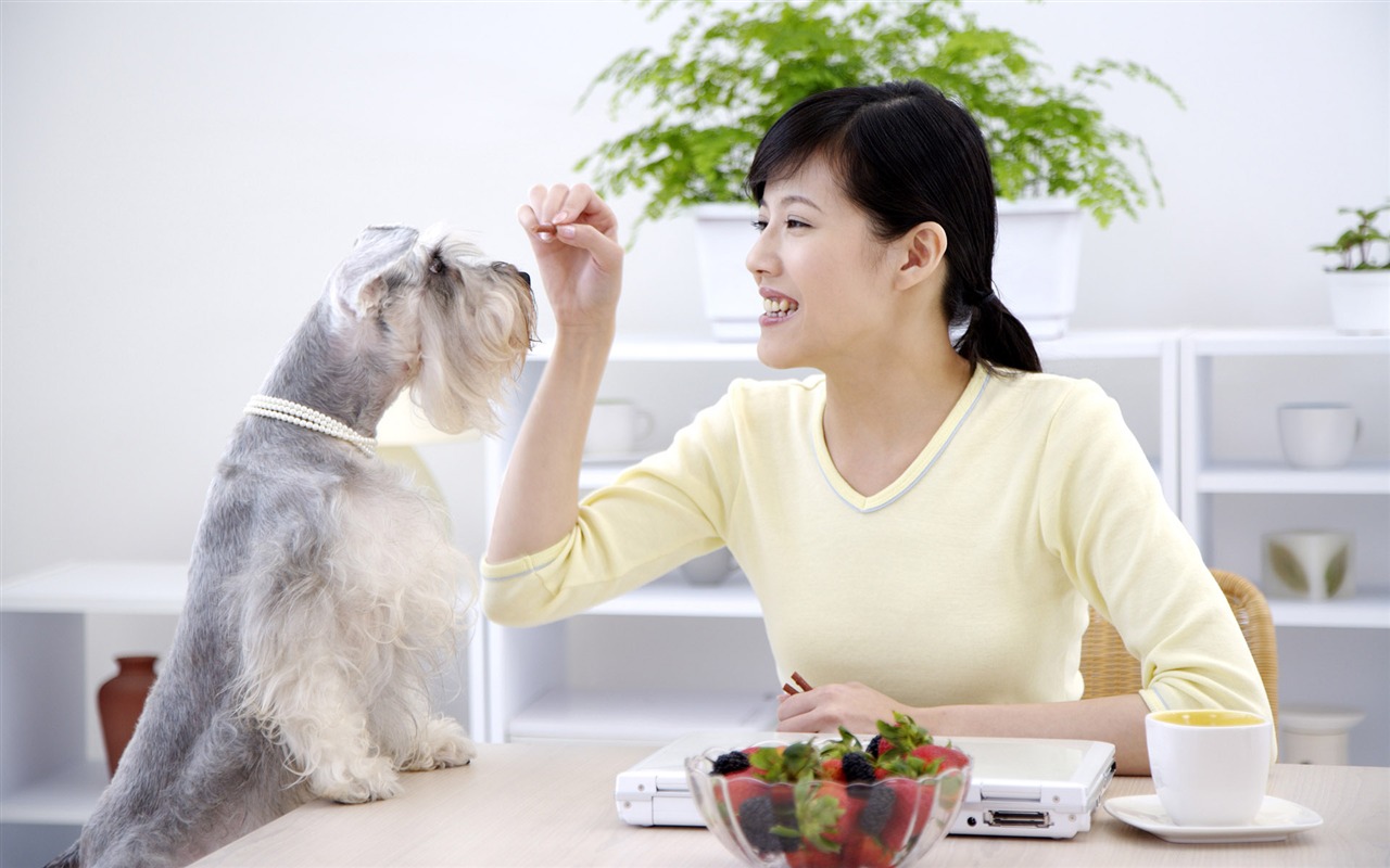 Beauty and the pet HD wallpaper #20 - 1280x800