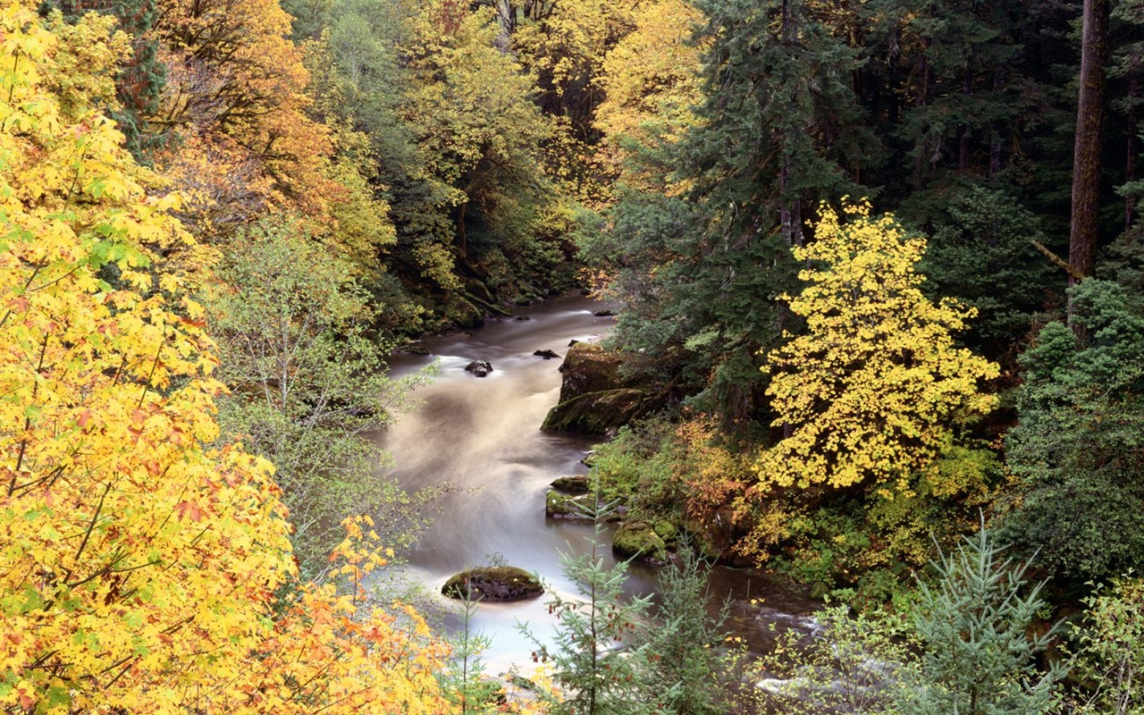 Autumn scenery beautiful wallpaper #12 - 1280x800