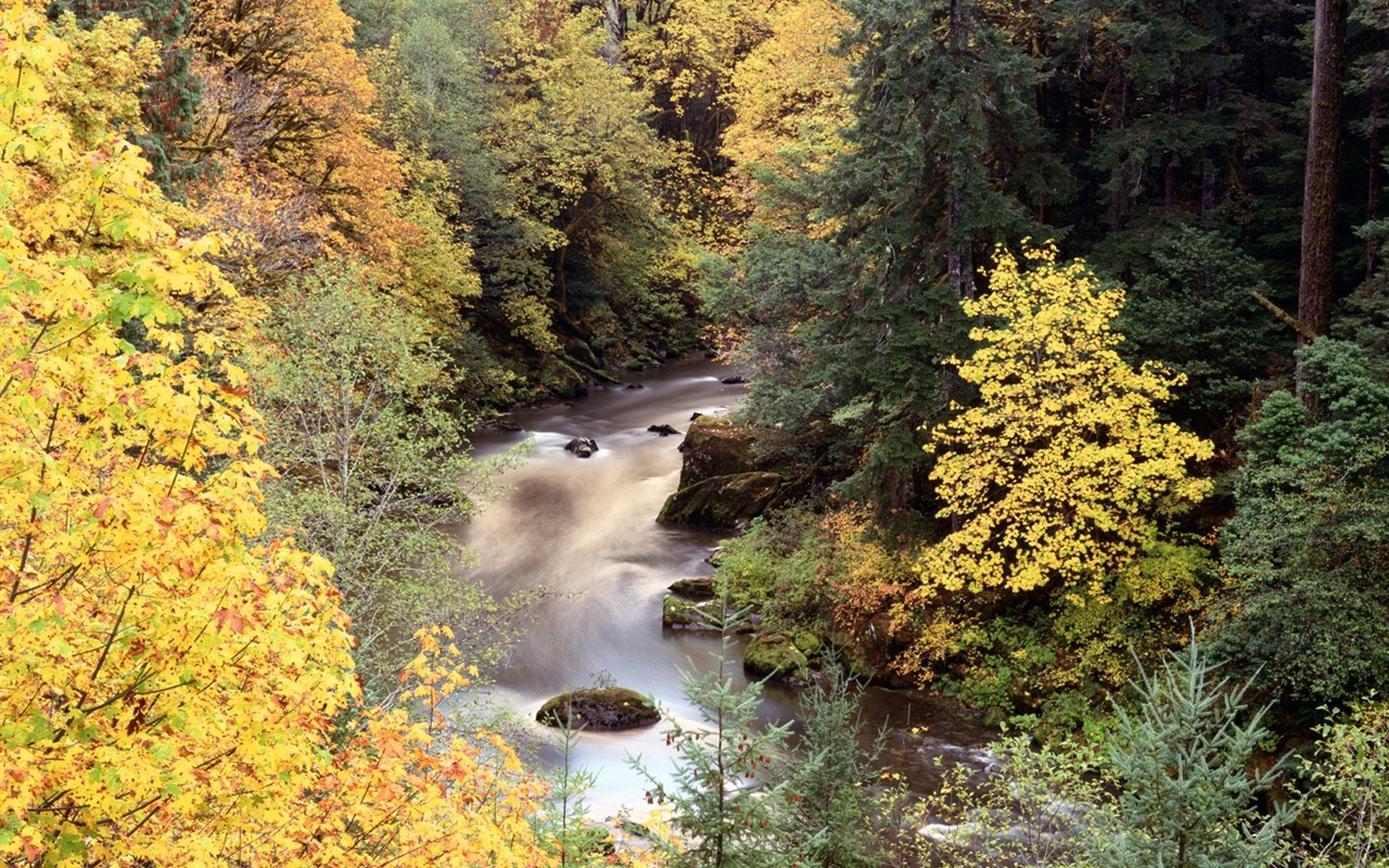 Herbstlandschaft schöne Tapete #12 - 1280x800