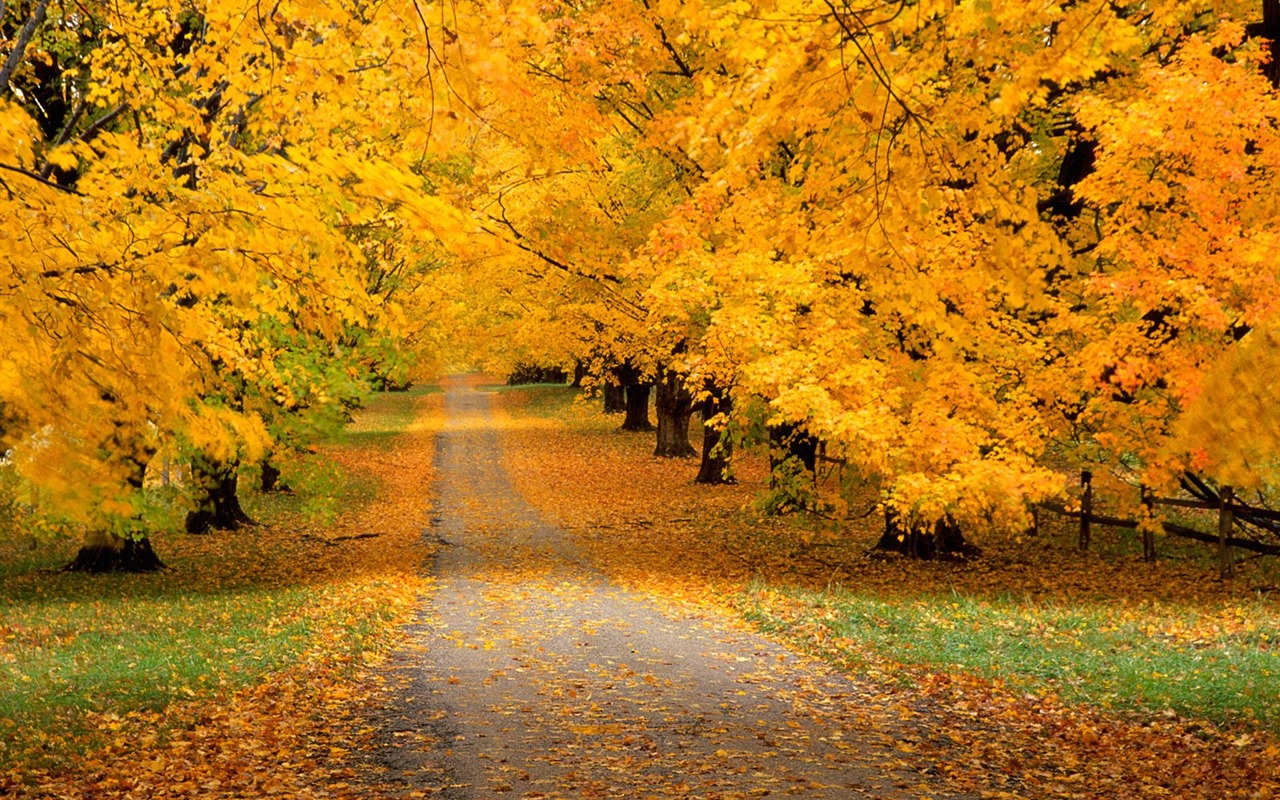 Otoño fondos de escritorio de bellos paisajes #16 - 1280x800