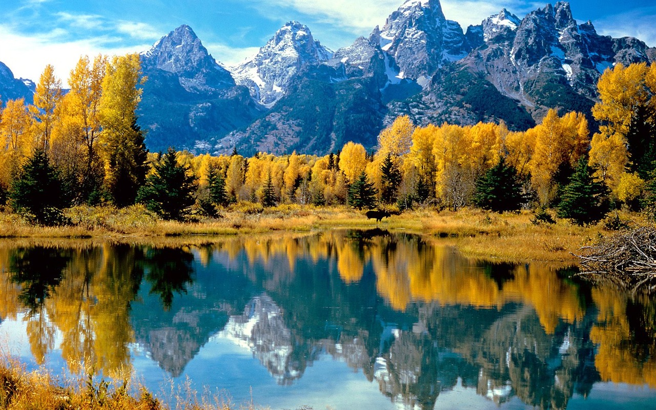 Herbstlandschaft schöne Tapete #19 - 1280x800