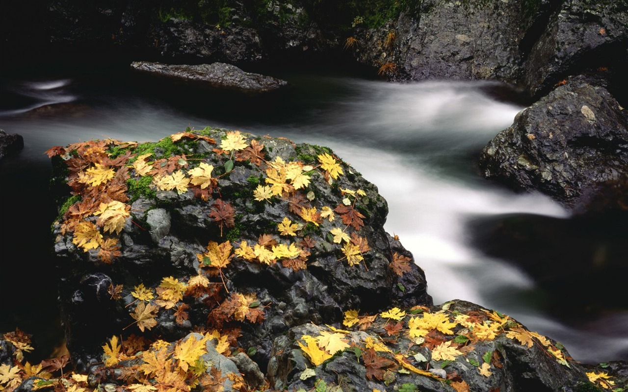 Herbstlandschaft schöne Tapete #20 - 1280x800