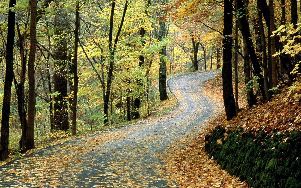 Herbstlandschaft schöne Tapete #23 - 1280x800