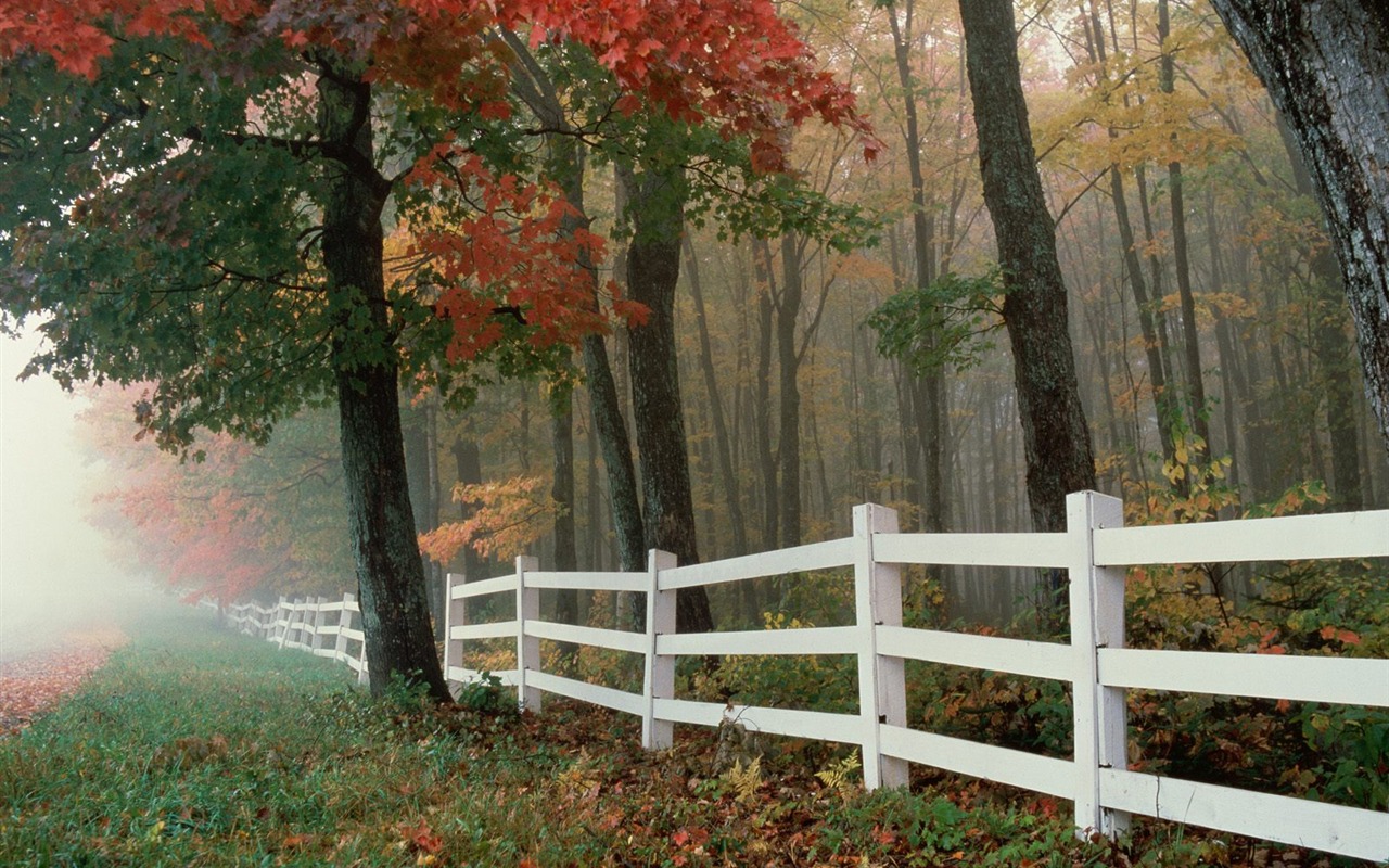 Podzimní krajina krásná tapeta #24 - 1280x800