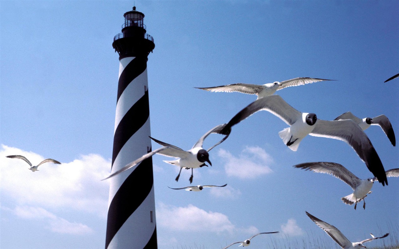 Coastal Lighthouse HD Wallpaper #35 - 1280x800