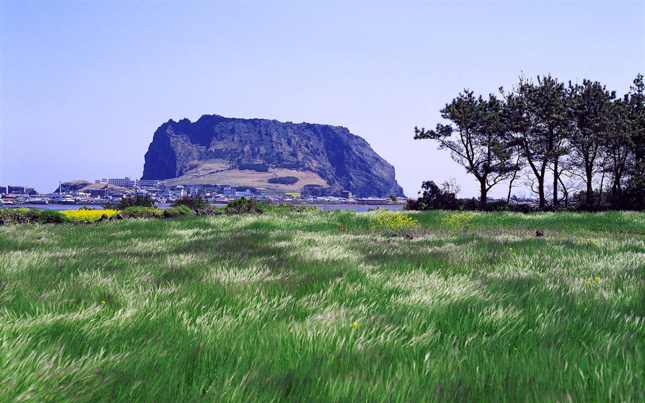 Windows7 官方主題壁紙 #7 - 1280x800