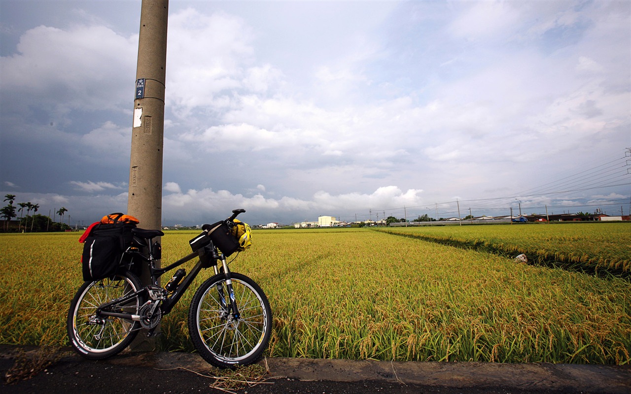 Windows7 官方主題壁紙 #24 - 1280x800