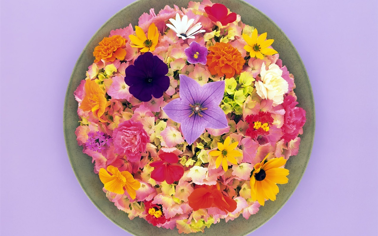 Floral feast Wallpaper #6 - 1280x800