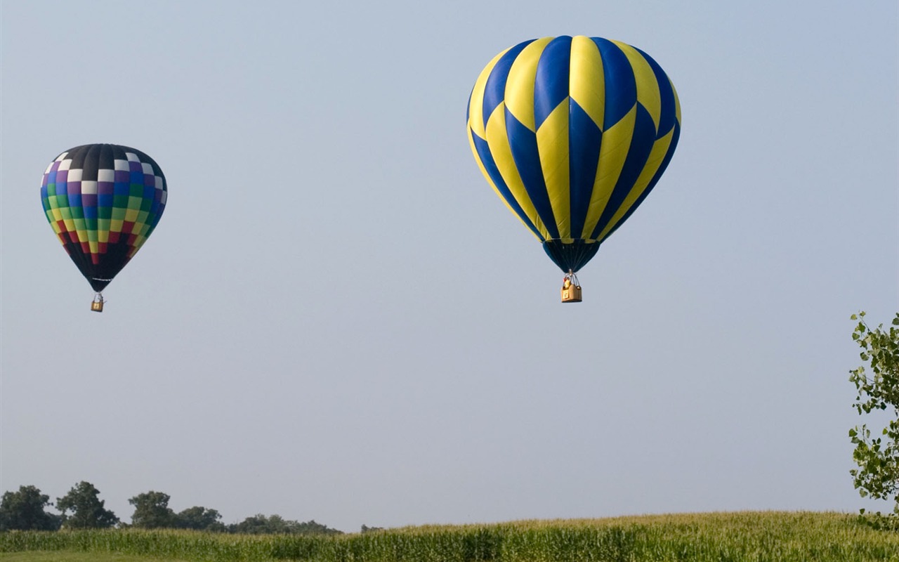 Hot air balloon wallpaper #19 - 1280x800