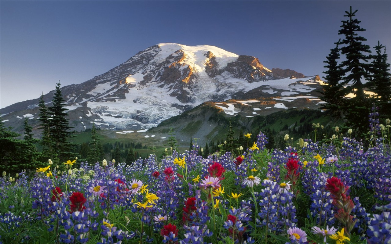 Webshots Scenery Wallpapers (2) #6 - 1280x800
