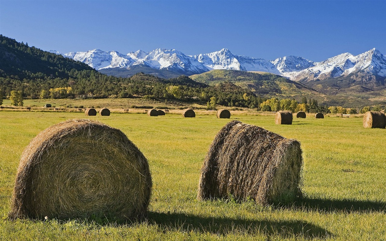 Webshots Scenery Wallpapers (2) #17 - 1280x800