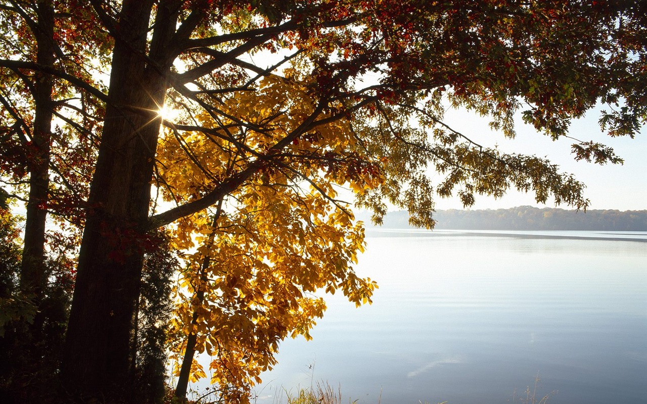 Webshots Scenery Wallpapers (2) #37 - 1280x800