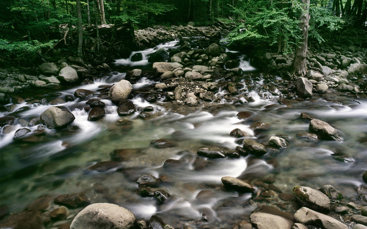 Water streams HD Wallpapers #15 - 1280x800