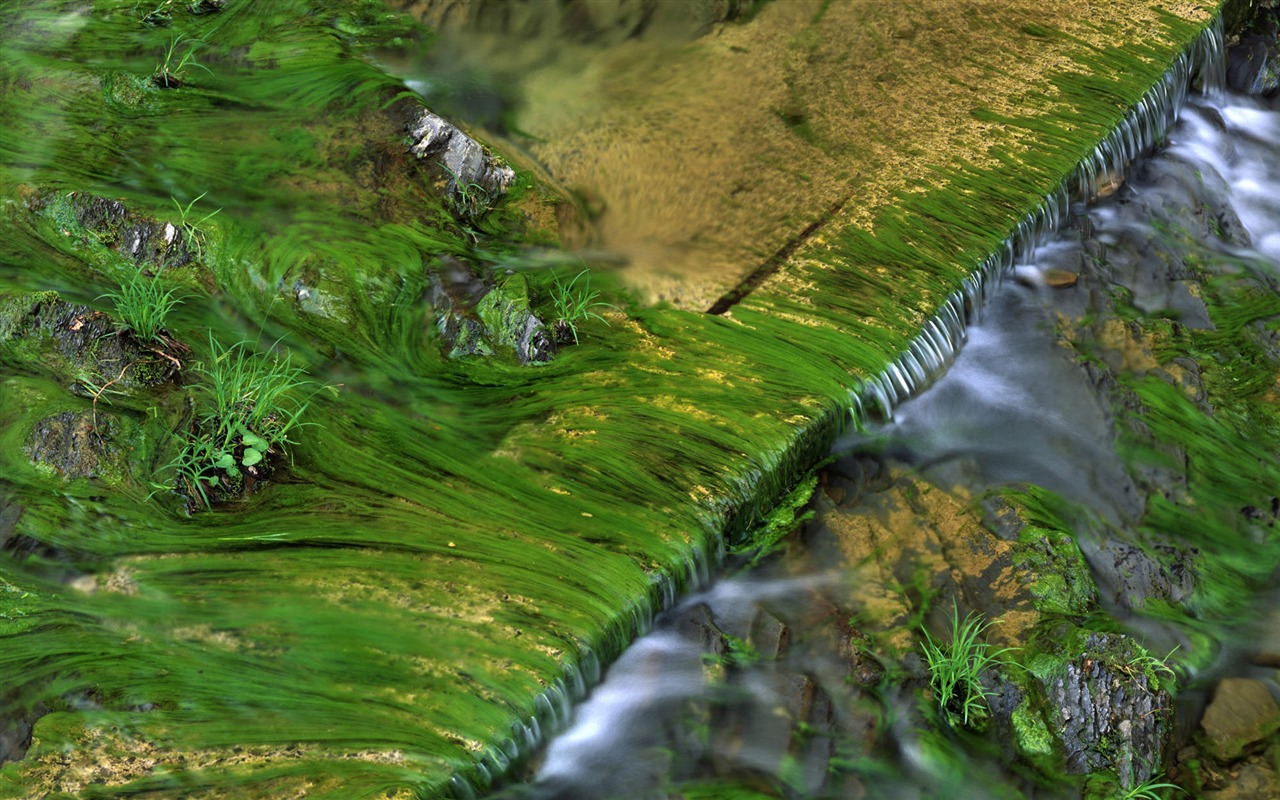 Water streams HD Wallpapers #16 - 1280x800