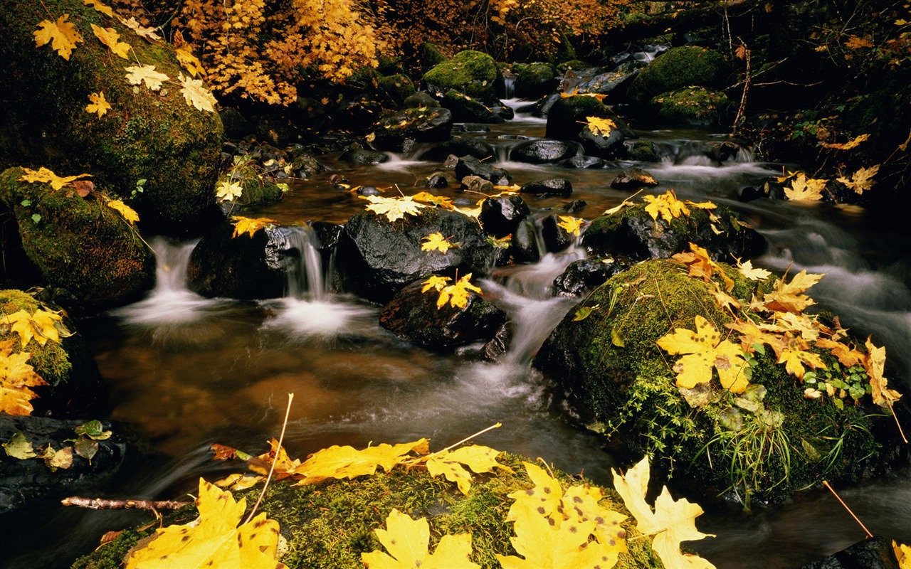 Water streams HD Wallpapers #17 - 1280x800