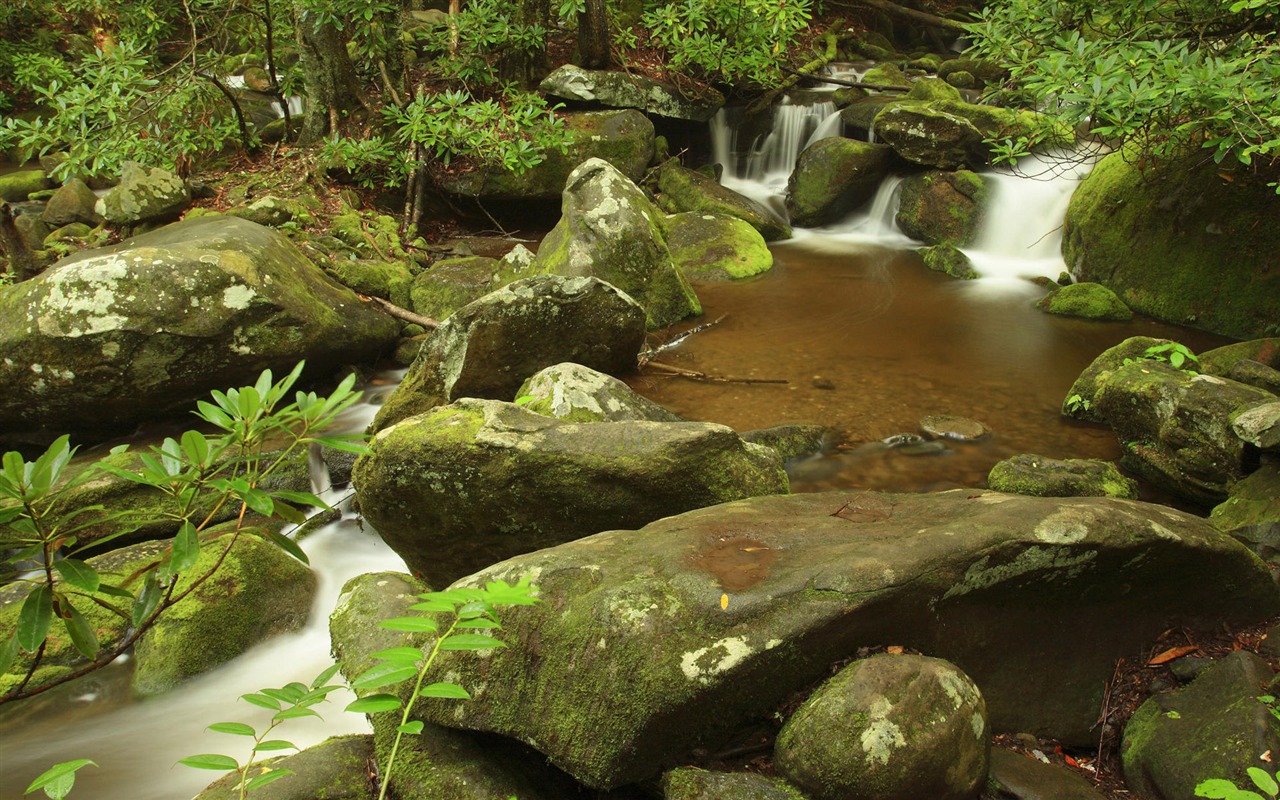 Water streams HD Wallpapers #22 - 1280x800